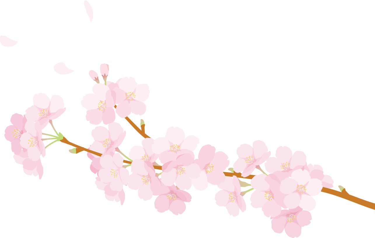 桜の背景イラスト