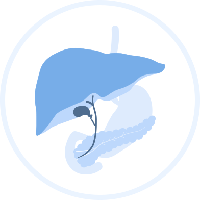 肝胆膵内科(消化器内科)のアイコン