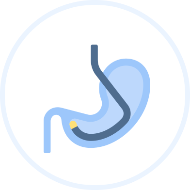 食道・胃・十二指腸内視鏡検査のアイコン