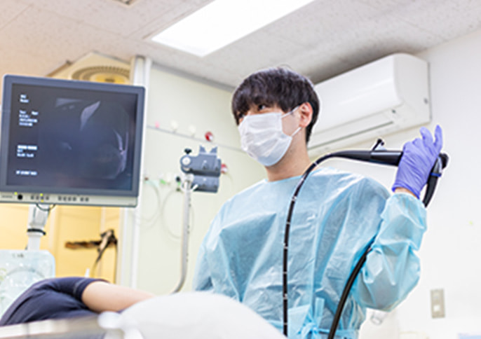 食道・胃・十二指腸内視鏡検査の写真