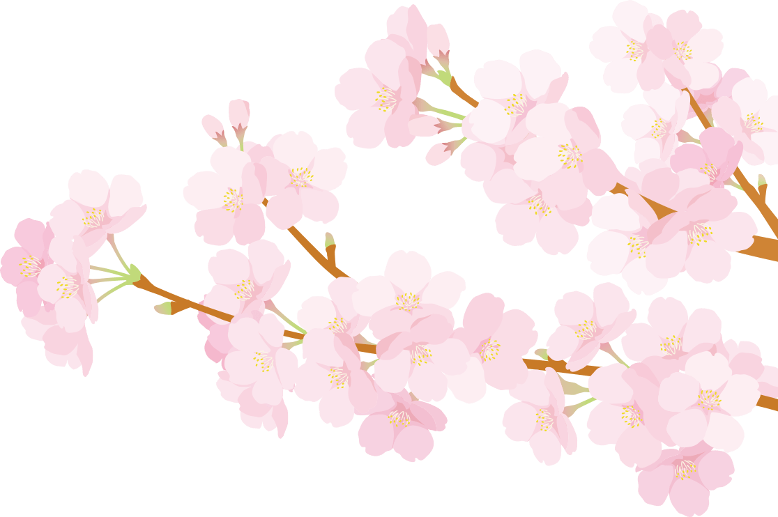 桜のイラスト